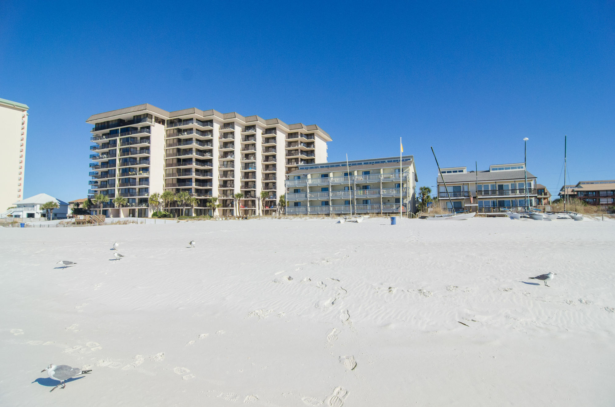 Sunswept By Panhandle Getaways Panama City Beach Exteriör bild